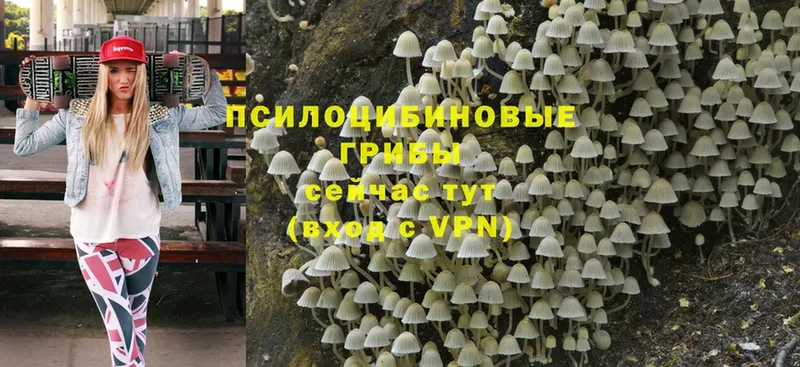 купить наркоту  Кирсанов  МЕГА ССЫЛКА  Галлюциногенные грибы Magic Shrooms 